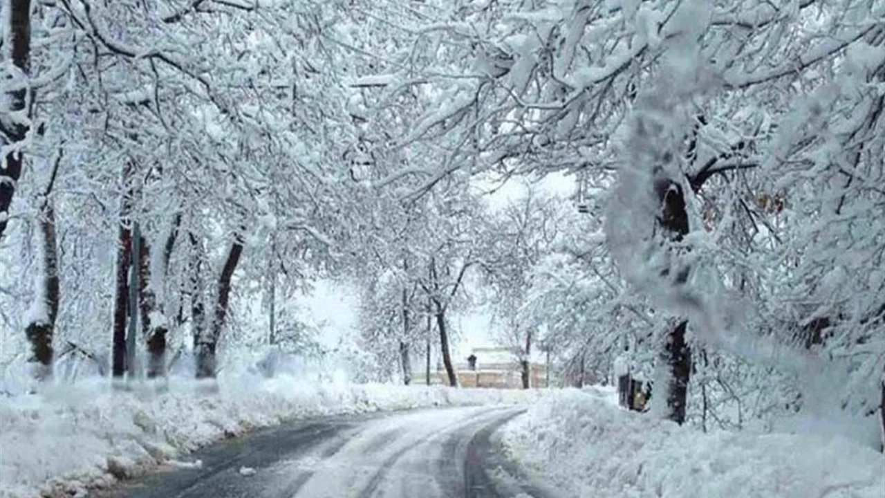 منخفض جوي يضرب لبنان مع أمطار غزيرة وثلوج وتدنٍ كبير بالحرارة